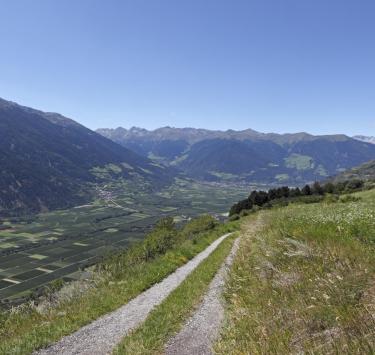 Sommer im Vinschgau